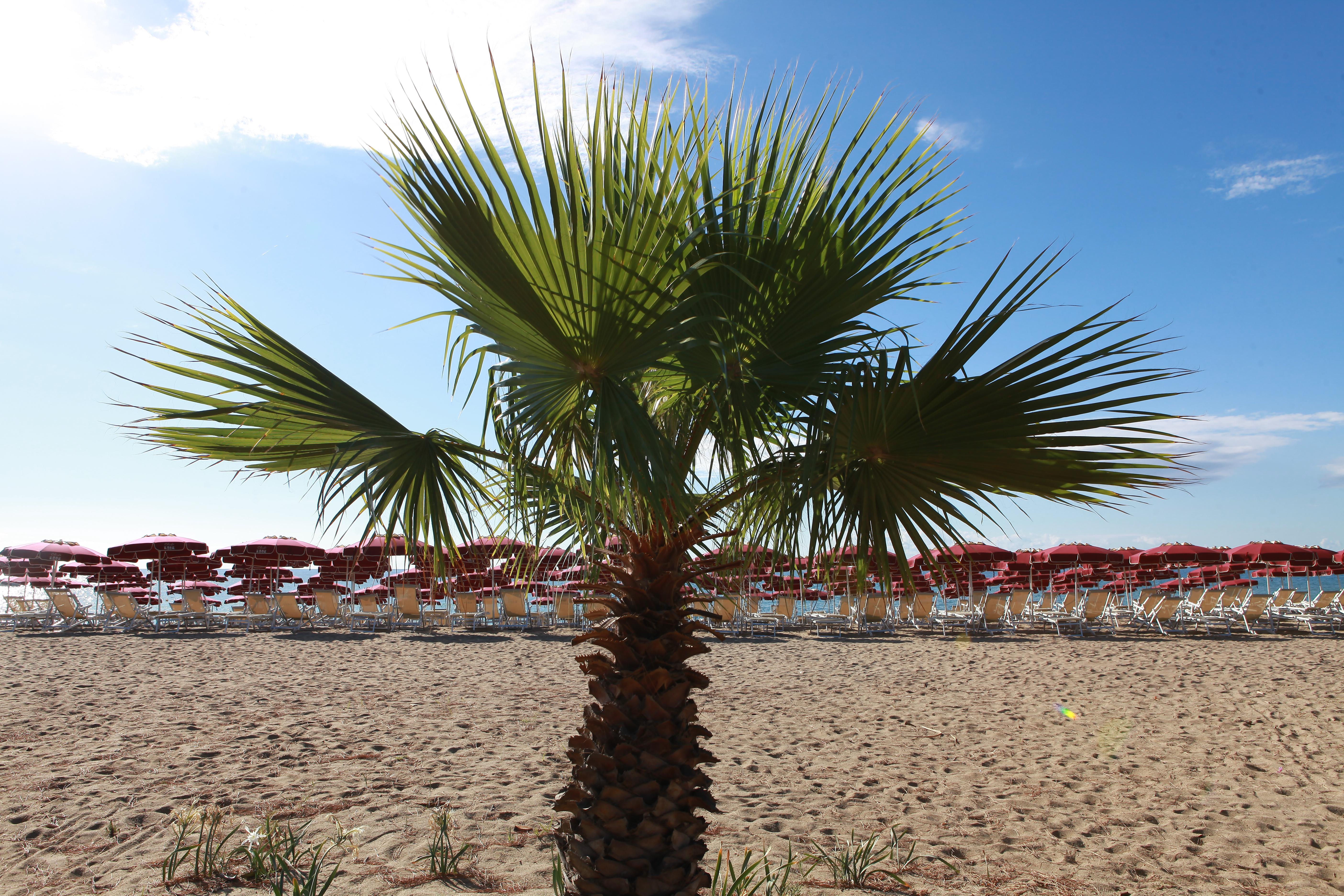 Club Esse Sunbeach Squillace Luaran gambar